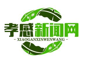 应城全域公交一体化运营，65岁以上老人免费乘车，便民出行再升级