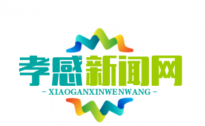 应城全域公交一体化运营，65岁以上老人免费乘车，便民出行再升级