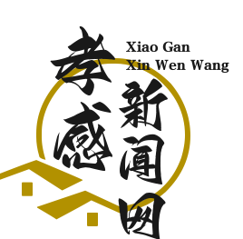 应城全域公交一体化运营，65岁以上老人免费乘车，便民出行再升级