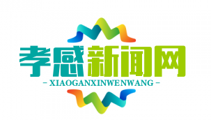 应城全域公交一体化运营，65岁以上老人免费乘车，便民出行再升级