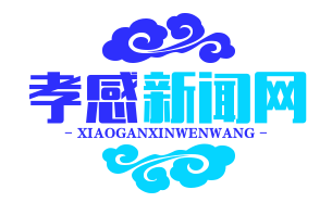 应城全域公交一体化运营，65岁以上老人免费乘车，便民出行再升级