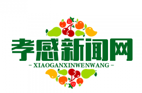 应城全域公交一体化运营，65岁以上老人免费乘车，便民出行再升级